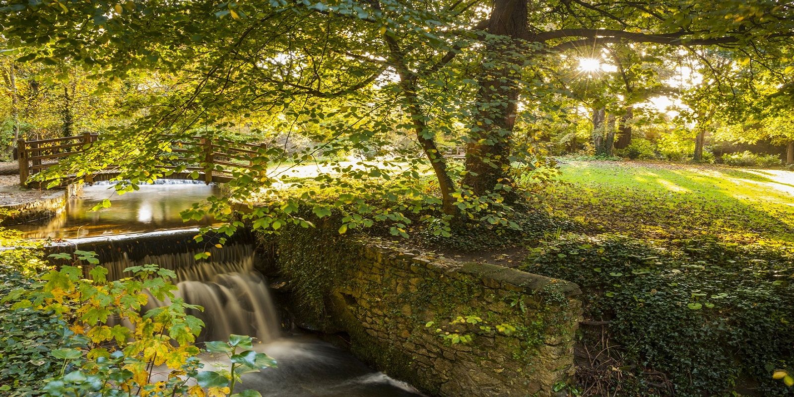 Discover Dublin Botanic Gardens